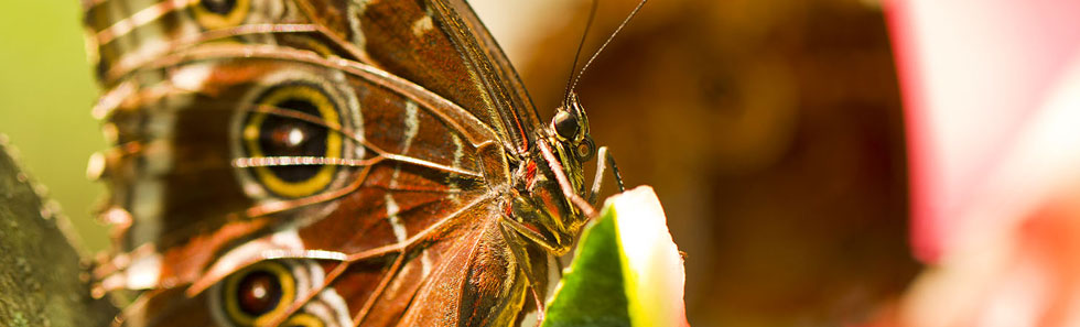 免费ddos在线攻击