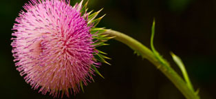 ddos攻击防御手段